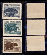 EUROPA - ALBANIA - 1961 - Animali (627/629) - Serie Completa - Gomma Integra - Altri & Non Classificati