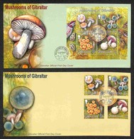 EUROPA - GIBILTERRA - Funghi (1054/1057 + Block 57) 2 FDC 15.9.03 - Autres & Non Classés