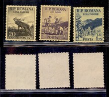 EUROPA - ROMANIA - 1954 - Luna Paduri (1464/1466) - Serie Completa - Gomma Integra - Andere & Zonder Classificatie