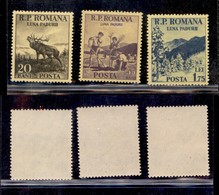 EUROPA - ROMANIA - 1954 - Luna Paduri (1464/1466) - Serie Completa - Gomma Integra - Autres & Non Classés