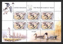 EUROPA - UNITED KINGDOM - 1991 - Minifoglio “The Wildlife Habitat Trust” Euroducks - Gomma Integra - Sonstige & Ohne Zuordnung