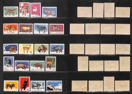 OLTREMARE - CUBA - 1964 - Animali Dello Zoo Havana (949/968) - Serie Completa - Gomma Integra (45) - Other & Unclassified