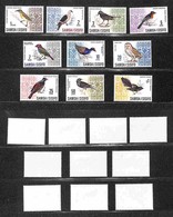 OLTREMARE - SAMOA - 1967 - Uccelli (152/161) - Serie Completa - Gomma Integra (48) - Andere & Zonder Classificatie