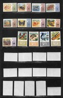 OLTREMARE - SAMOA - 1972/1975 - Animali (262/271 + 284 + 297 + 319) - Serie Completa + Complementari - Gomma Integra - Other & Unclassified