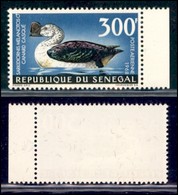 OLTREMARE - SENEGAL - 1968 . P. Aerea - 300 Franchi Anatra (382) - Gomma Integra - Andere & Zonder Classificatie