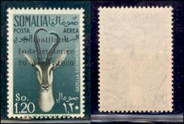 OLTREMARE - SOMALIA - 1960 - 1,20 Somali Soprastampato (3) - Gomma Integra (36) - Other & Unclassified