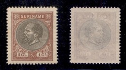 OLTREMARE - SURINAME - 1889 - 1 Gulden Guglielmo III(21) - Sempre Senza Gomma (75) - Andere & Zonder Classificatie