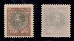 OLTREMARE - SURINAME - 1889 - 1 Gulden Guglielmo III(21) - Sempre Senza Gomma (75) - Other & Unclassified