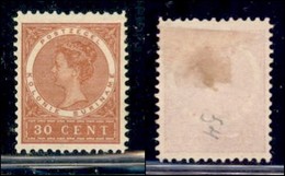 OLTREMARE - SURINAME - 1907 - 30 Cent (60) - Gomma Originale - Andere & Zonder Classificatie