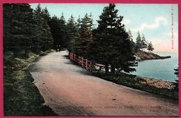 Halifax - A Glimpse Of The Beautiful Scenery In Point Pleasant Park - N.S. - Colorisée - Halifax