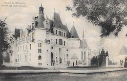 MONNAIE - ( 37 ) - Chateau De L'Orfraisiére - Monnaie