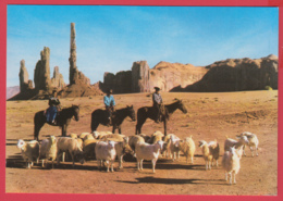 MONUMENT VALLEY - Navajo Indians ** 2 SCANS - Monument Valley