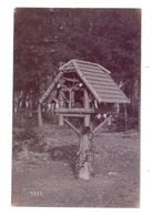 3052 BAD NENNDORF, Vogelhaus, Photo-Ak, Foto Fritz Lang - Bad Nenndorf