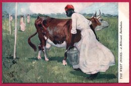 The West Indies - Barbadoes - A Milkmaid - Barbades - Laitière - Vache - RAPHAEL TUCK - OILETTE - Barbades