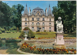 Carte Postale 91. Chilly-Mazarin  Le Chateau Trés Beau Plan - Chilly Mazarin