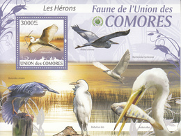 2009 Comoros Comores Herons Birds Oiseaux  Complete Set Of 2 Sheets MNH - Storks & Long-legged Wading Birds