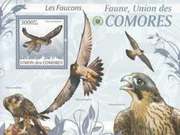 2009 Comoros Comores Falcons Faucons Birds Oiseaux Complete Set Of 2 Sheets MNH - Eagles & Birds Of Prey