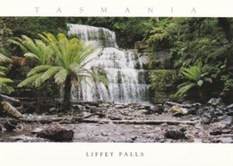 Liffey River Falls, Northern Tasmania - Unused - Andere & Zonder Classificatie