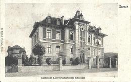 LUCERNE SURSEE Kantonales Landwirtschaftliches Schulhaus - Friebel Sursee - Circulé Le 28.11.1906 - Sursee