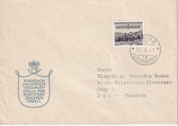 LIECHTENSTEIN 1949 LETTRE DE VADUZ  TIMBRES DE SERVICE - Service