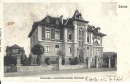 LUCERNE SURSEE Kantonales Landwirtschaftliches Schulhaus - Friebel Sursee - Circulé Le 17.11.1906 - Sursee