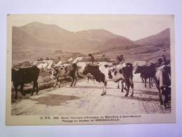 GP 2019 - 205  Paysage Au  HAMEAU De  BRESSOULEILLE   1937   XXX - Sonstige & Ohne Zuordnung