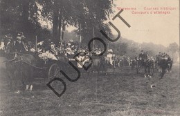 Postkaart - Carte Postale BORGWORM/WAREMME Courses Hippiques-Paarden/Chevaux Concours D'attelages (O21) - Waremme