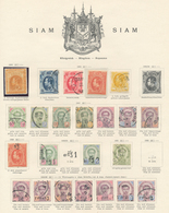 Thailand: 1883/1920, Used And Mint Collection On Ancient Schaubek Pages, Well Collected From 1st Iss - Tailandia