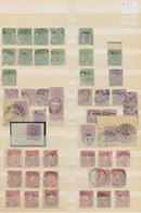Deutsches Reich - Pfennige: 1875/1890, PFENNIGE, 2 MARK INNENDIENST Und PFENNIG, Spezialisierte Samm - Collections