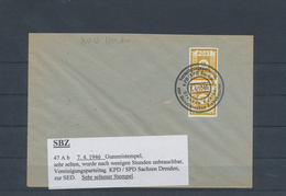 Sowjetische Zone: 1945/1948, Postfrische Und Gestempelte Spezialpartie Auf Steckkarten, Dabei Bärena - Altri & Non Classificati