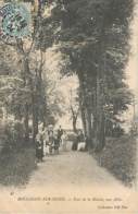 BOULOGNE SUR SEINE - Parc De La Mairie, Une Allée - Boulogne Billancourt