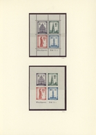 Französische Zone: 1945/1949, Postfrisch/ungebrauchte Spezial-Sammlungspartie Auf Blanko-Blättern, M - Autres & Non Classés