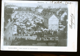 Delcampe - SAULIEU    LE FOIRE        JLM - Saulieu