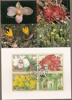 United Nations & Maxi, Vereinte Nationen, Flora, Flowers, Endangered Species, UNO  Geneve 1996 (158) - Storia Postale