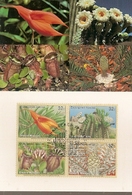 United Nations & Maxi, Vereinte Nationen, Flora, Flowers, Endangered Species, UNO  New York 1996 (159) - Lettres & Documents