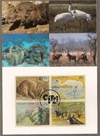 United Nations & Maxi, Vereinte Nationen, Endangered Species, UNO  New York  1993 (145) - Lettres & Documents