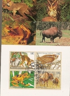 United Nations & Maxi, Vereinte Nationen, Endangered Species, UNO Geneve 1996 (158) - Lettres & Documents