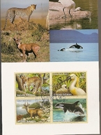 United Nations & Maxi, Vereinte Nationen, Endangered Species, Fauna, Animals, UNO  New York 2000 (149) - Lettres & Documents