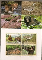 United Nations & Maxi, Vereinte Nationen, Endangered Species, Fauna, Animals, UNO  New York 2000 (151) - Lettres & Documents