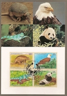 United Nations & Maxi, Vereinte Nationen, Endangered Species, Fauna, Animals, UNO  New York 1995 (152) - Briefe U. Dokumente