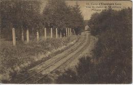 Camp D'Elsenborn   -   Voie Du Chemin De Fer Militaire.  -   1931 - Elsenborn (camp)