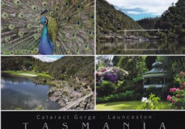 Cataract Gorge Multiview, Launceston, Tasmania - Unused - Lauceston