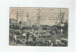 ON THE LEVEE - SHIPPING COTTON NEW ORLEANS 1004         1904 - New Orleans