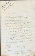 Let LETTRES SANS TIMBRE ET DOCUMENTS DIVERS - Lettre Autographe Du Comte D'Argaut (1782-1858) Ministre De Louis-Philippe - Autres & Non Classés