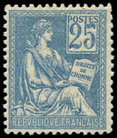 ** EMISSIONS DU XXème SIECLE - 114   Mouchon, 25c. Bleu, Excellent Centrage, Un Point D'adh. S. Une Dent D'angle, TB - Unused Stamps