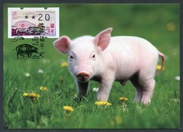 MACAU / MACAO (2019). ATM Klüssendorf - Ano Lunar Do Porco / Lunar Year Of The Pig / Année Du Cochon - Maximum Card - Automatenmarken