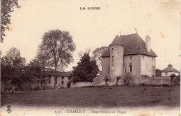 CHARLIEU  -  Vieux Château De Thigny - Charlieu