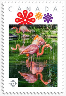 FLAMINGOS = EXOTIC BIRDS = Picture Postage MNH-VF Canada 2019 [p19-01s14] - Flamingo's