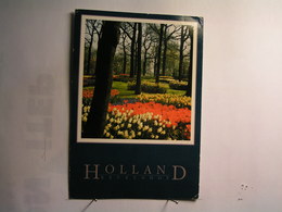 Holland - Keukenhof - Lisse