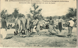 AFRIQUE - MAURITANIE - TIRAILLEURS SENEGALAIS MEHARISTES - ABREUVOIR DES CHAMEAUX SUR UN CUIR DE BOEUF - Mauritanie